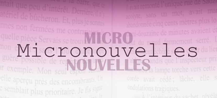 Micronouvelle #8 — Le Pouvoir du Pinceau